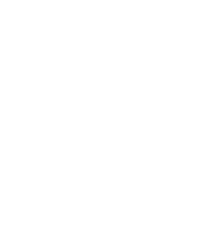 Nelson Management Logo